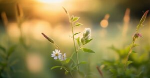 Weronika znaczenie imienia: Tajemnice i symbolika dla każdej kobiety